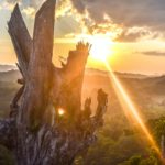 Death of Martyn Lloyd-Jones; Do not hold me back from the glory; March 1, 1981