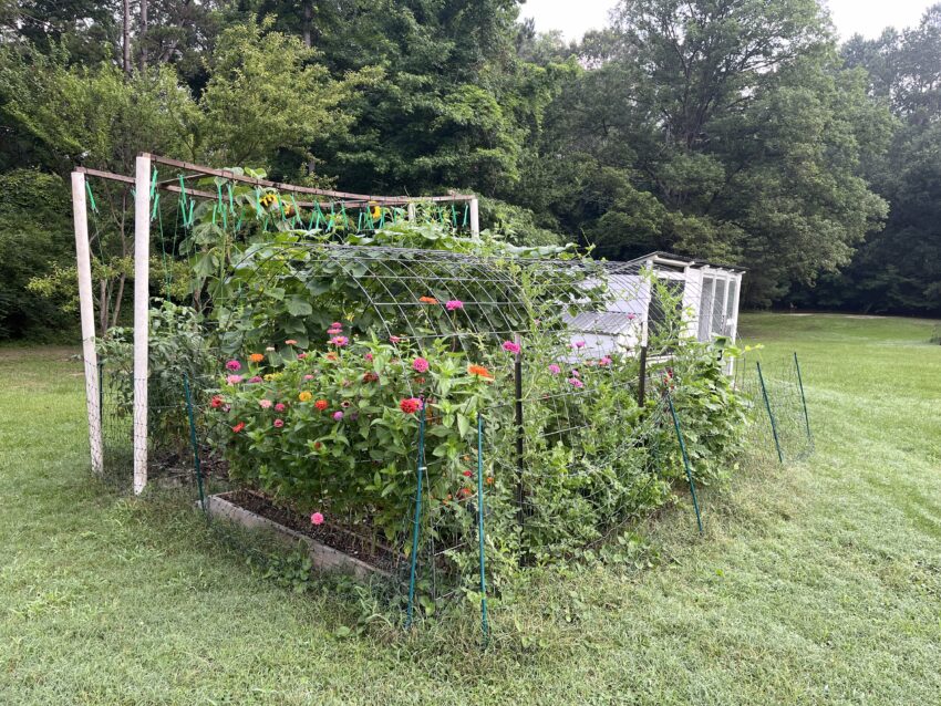 tend your garden, be faithful with what God has given you, don't despise the small things
